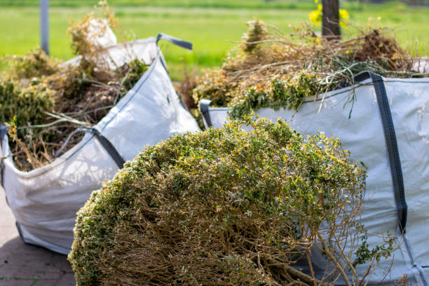 Professional Junk Removal Services in Peridot, AZ